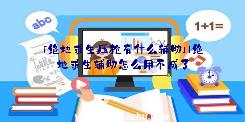 「绝地求生压枪有什么辅助」|绝地求生辅助怎么用不成了